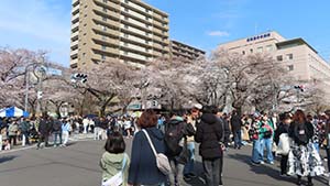 クリックして拡大