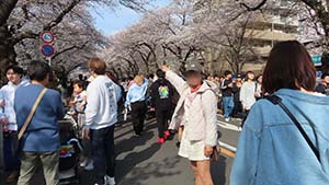 クリックして拡大