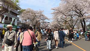 クリックして拡大