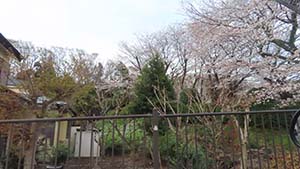 クリックして拡大