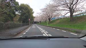 クリックして拡大