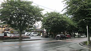 NbNĊg