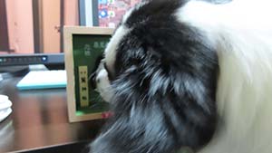 �N���b�N���Ċg��