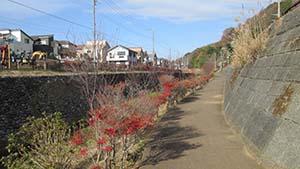 �N���b�N���Ċg��