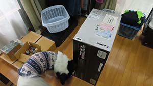 �N���b�N���Ċg��