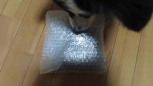 クリックして拡大
