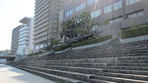 NbNĊg