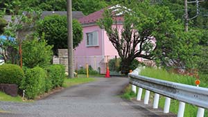 クリックして拡大