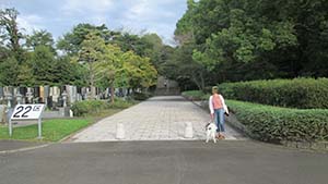 �N���b�N���Ċg��