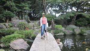 �N���b�N���Ċg��