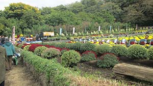 �N���b�N���Ċg��