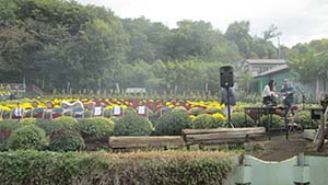 �N���b�N���Ċg��