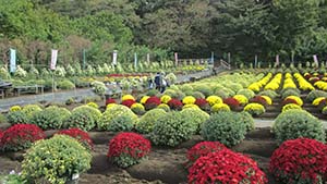 �N���b�N���Ċg��