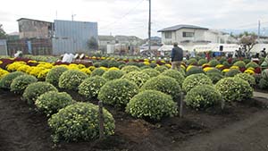 �N���b�N���Ċg��