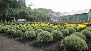 �N���b�N���Ċg��