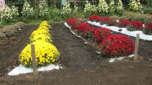 �N���b�N���Ċg��