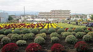 �N���b�N���Ċg��