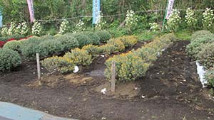 �N���b�N���Ċg��