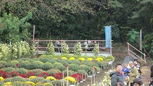 �N���b�N���Ċg��