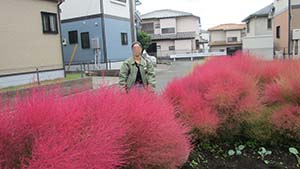 �N���b�N���Ċg��