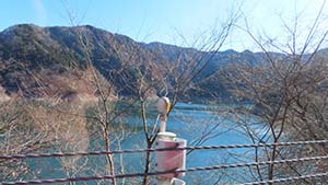 �N���b�N���Ċg��