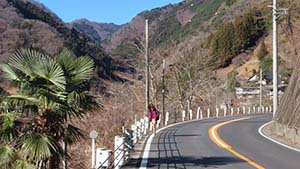 �N���b�N���Ċg��