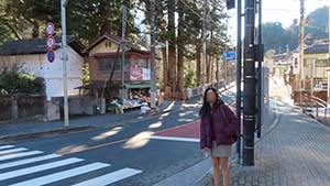 �N���b�N���Ċg��