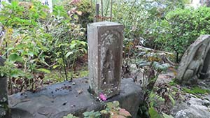 �N���b�N���Ċg��