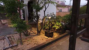 �N���b�N���Ċg��