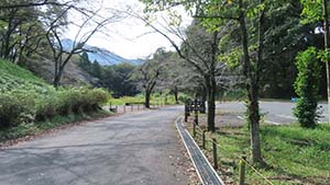 �N���b�N���Ċg��