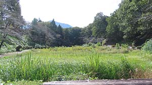 �N���b�N���Ċg��