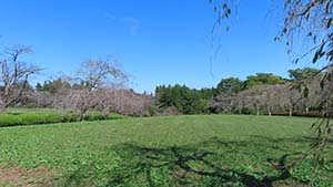 �N���b�N���Ċg��