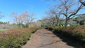 �N���b�N���Ċg��