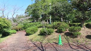 �N���b�N���Ċg��