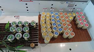 �N���b�N���Ċg��