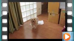 ������Đ�