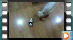 ������Đ�