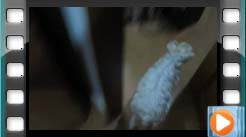 ������Đ�