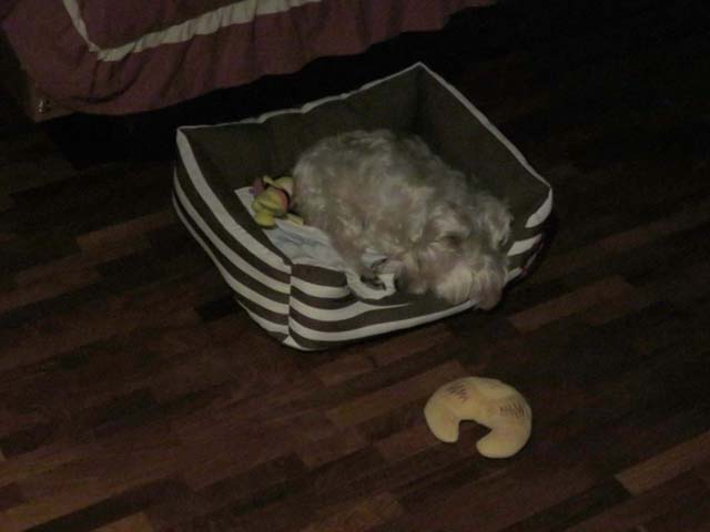 �N���b�N���Ċg��