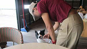 �N���b�N���Ċg��