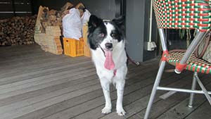 �N���b�N���Ċg��