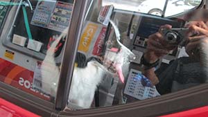 �N���b�N���Ċg��