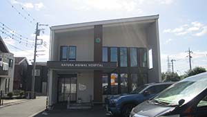 �N���b�N���Ċg��