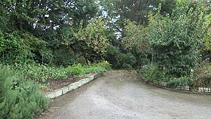 �N���b�N���Ċg��