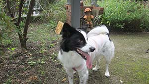 �N���b�N���Ċg��