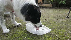 �N���b�N���Ċg��