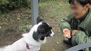 �N���b�N���Ċg��