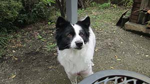 �N���b�N���Ċg��