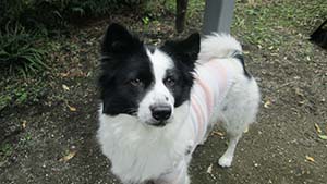 �N���b�N���Ċg��