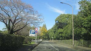 �N���b�N���Ċg��